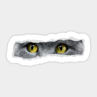 vintage-cat Sticker